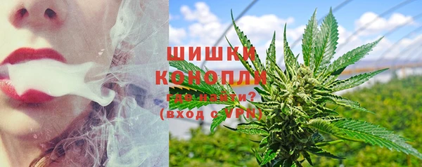 первитин Козельск