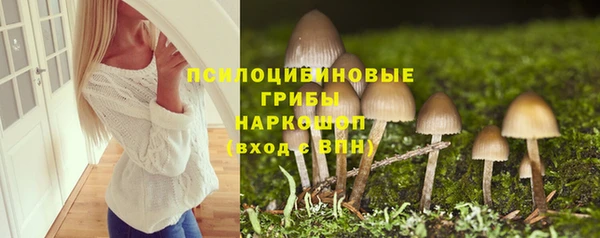 первитин Козельск
