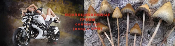 MDMA Козловка