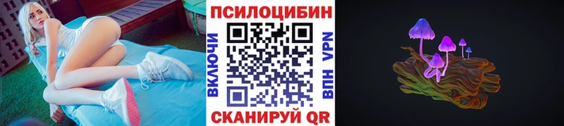 Купить закладки  Чайковский  Псилоцибиновые грибы ЛСД 