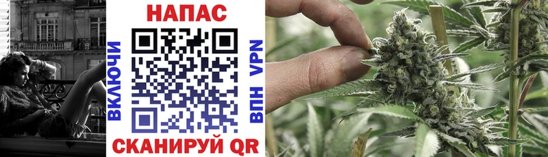 Конопля сатива  Купить закладки  Чайковский 